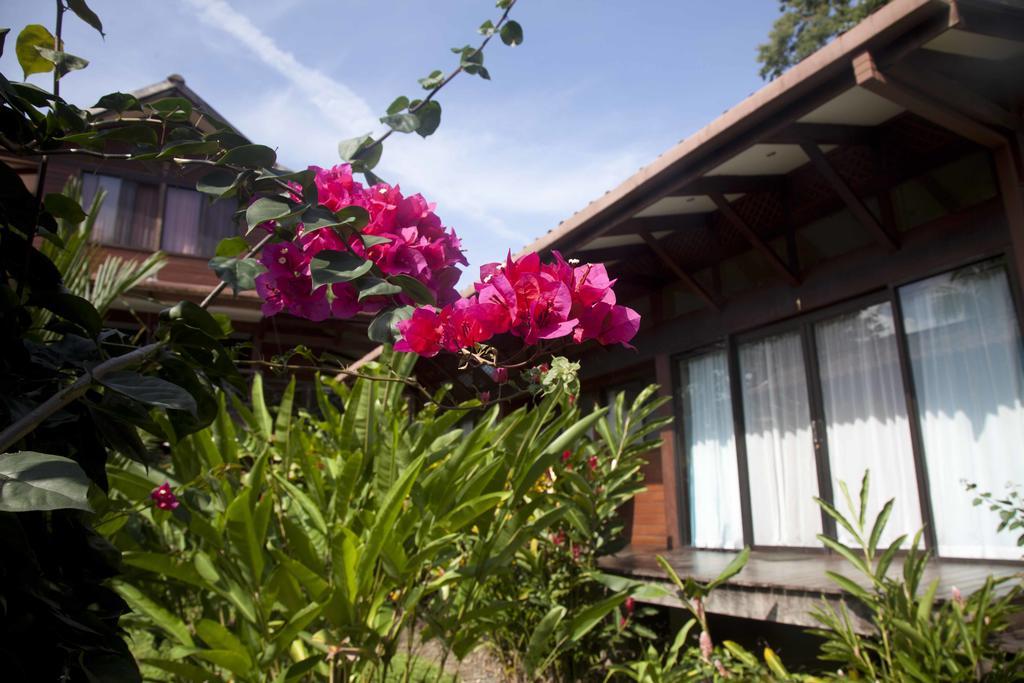 Kenaki Lodge Puerto Viejo de Talamanca Exteriér fotografie