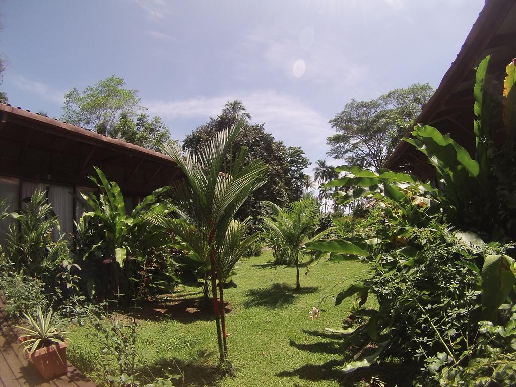 Kenaki Lodge Puerto Viejo de Talamanca Exteriér fotografie