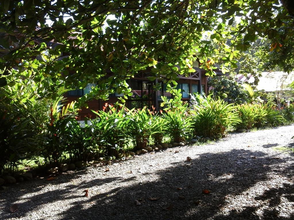 Kenaki Lodge Puerto Viejo de Talamanca Exteriér fotografie