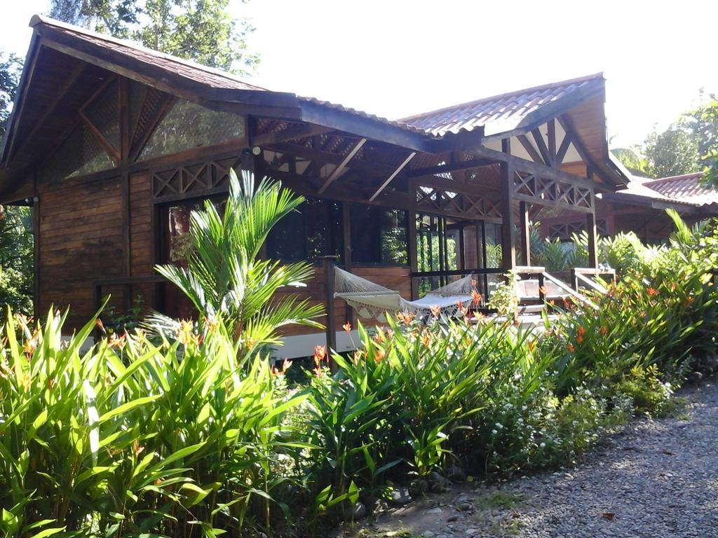 Kenaki Lodge Puerto Viejo de Talamanca Exteriér fotografie