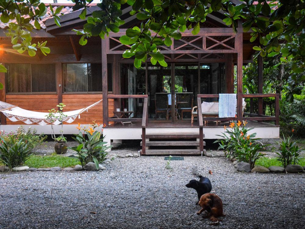 Kenaki Lodge Puerto Viejo de Talamanca Exteriér fotografie
