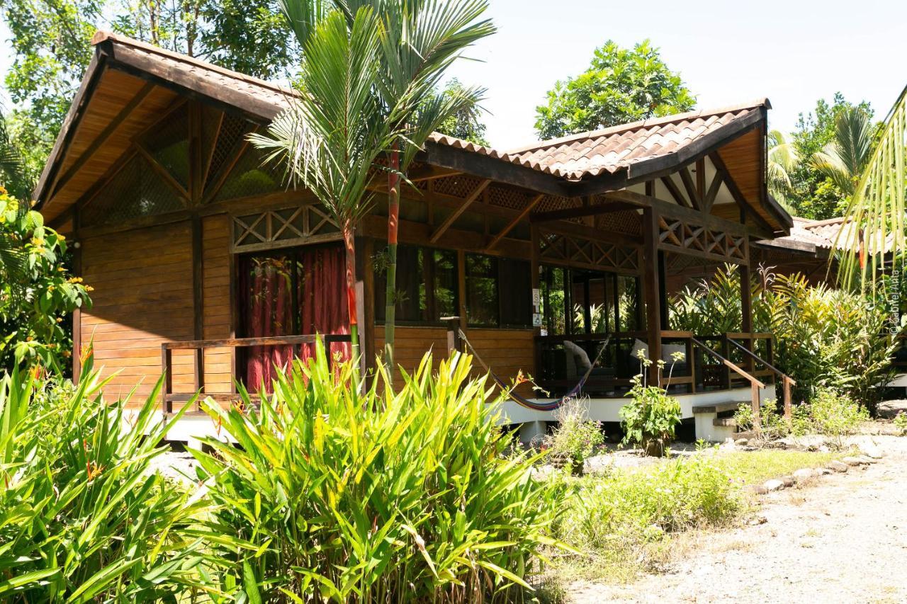 Kenaki Lodge Puerto Viejo de Talamanca Exteriér fotografie